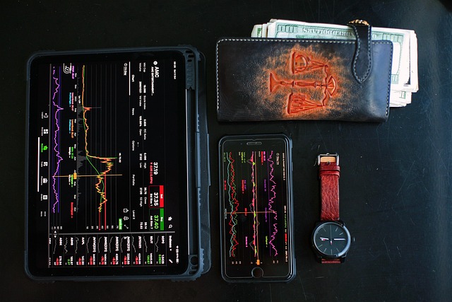 Individual investor reviewing portfolio allocation charts and stock screening results on Mueasa dashboard